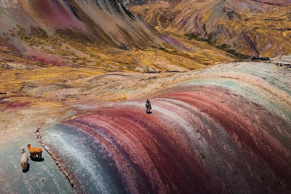 category_sustainability