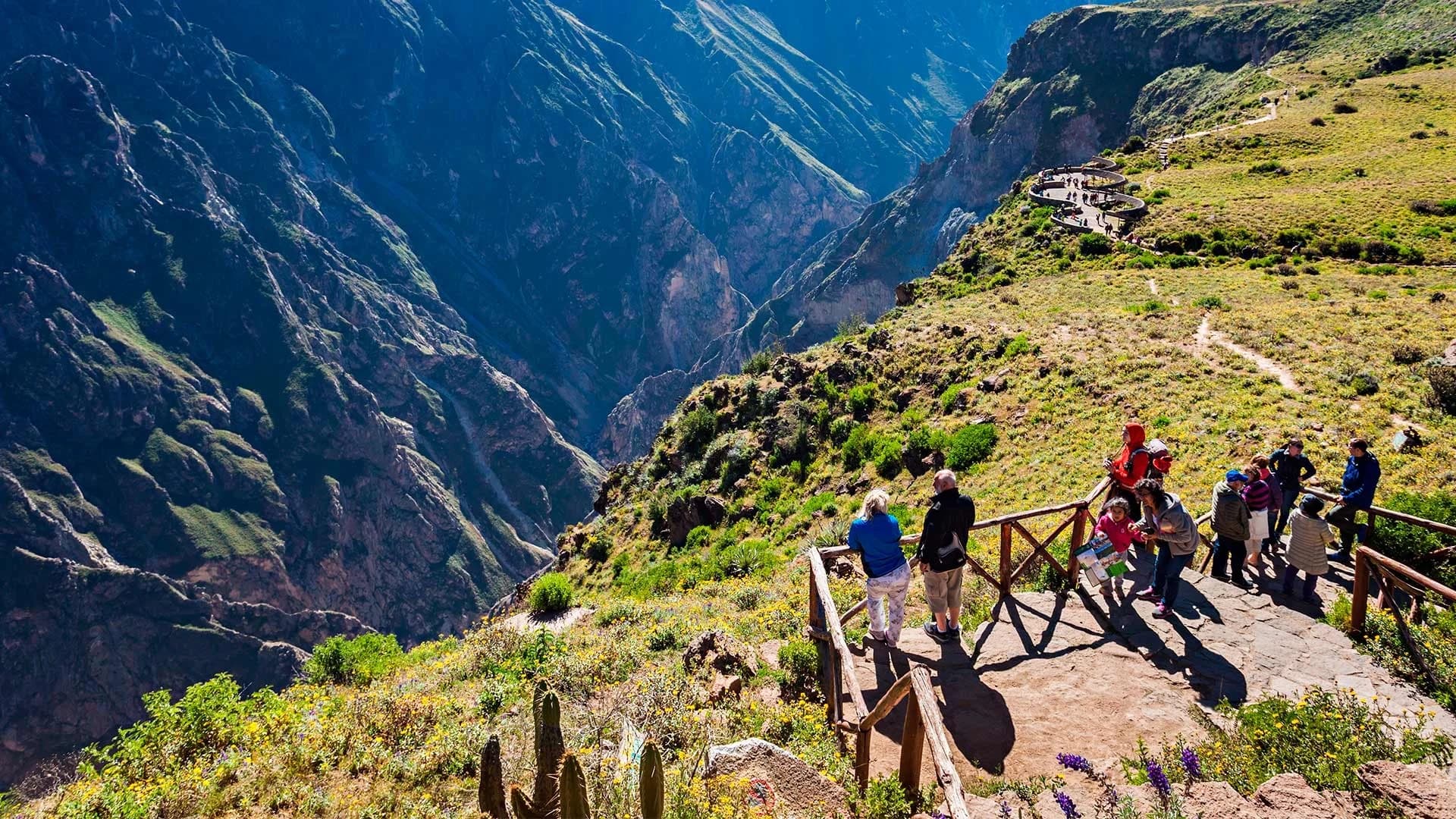 Colca Canyon Tour + Connection to Puno | Condor’s Cross Viewpoint, Highlights & Chivay–Puno Bus