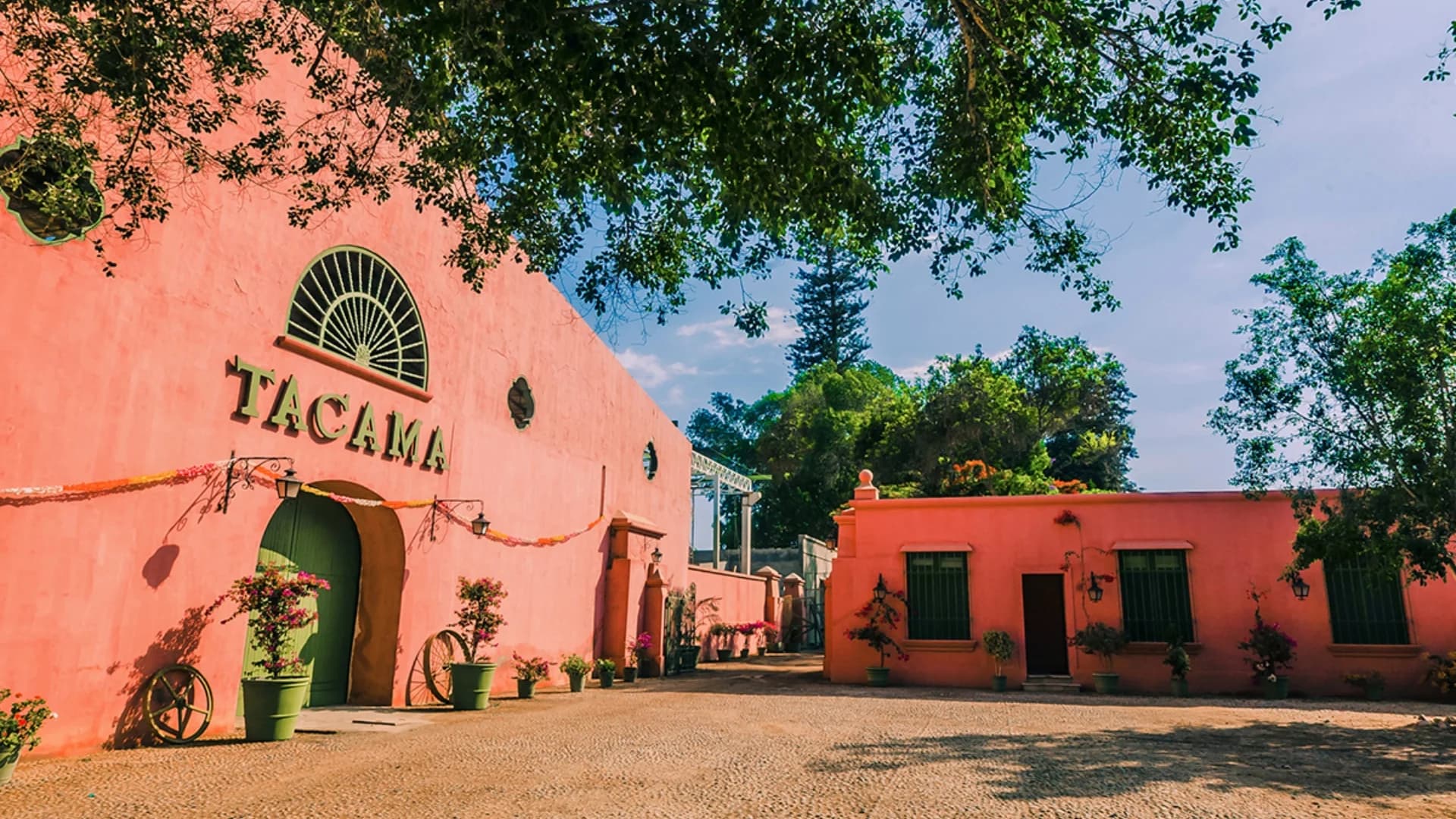 Paracas, Huacachina & Nazca 2D/1N from Lima | Ballestas + Nazca Lines Flight