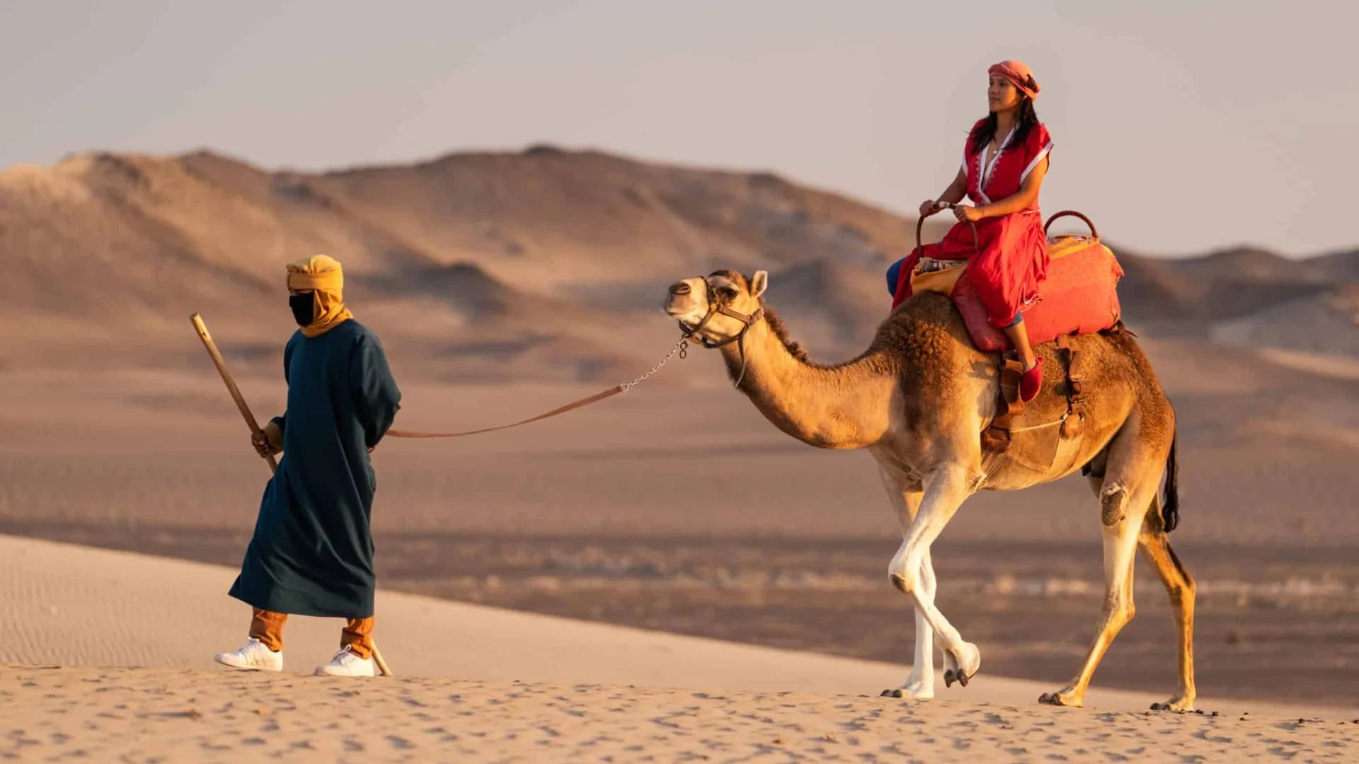 Dromedaries + Huacachina + Chincha Full-Day Tour from Lima | Ica | 280