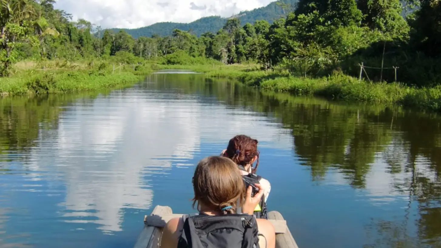 Cruise the Madre de Dios River and Discover Wildlife